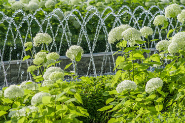 Similar image 20994185