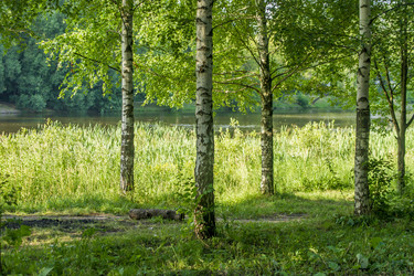 Similar image 20994189