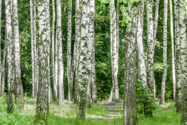 Similar image 20994190