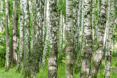 Similar image 20994191