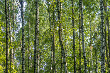 Similar image 20994192