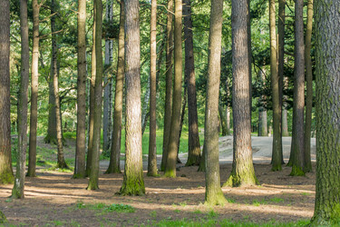 Similar image 20994193