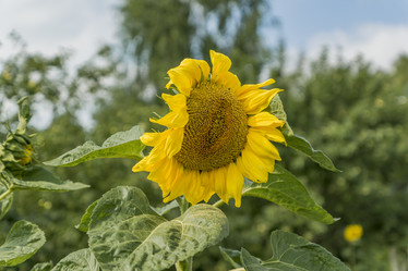 Similar image 20994194