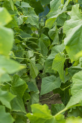 Similar image 20994199