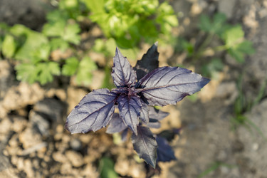 Similar image 21000658