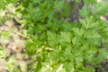 Similar image 21000659