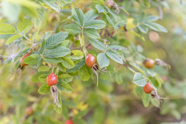 Similar image 21000763