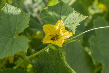 Similar image 21012370