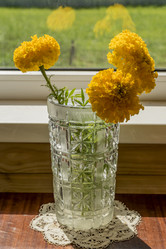 Similar image 21012372