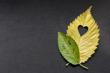 Similar image 21012376