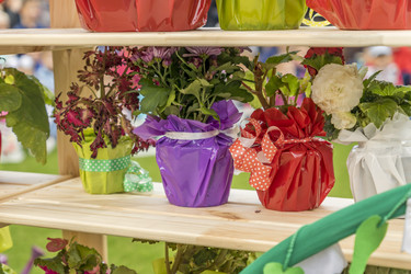 Similar image 20995449