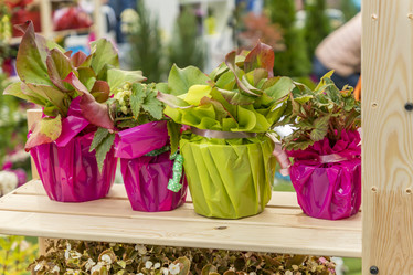 Similar image 20995451