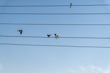 Similar image 20995455