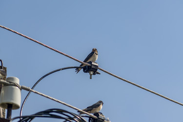 Similar image 20995465