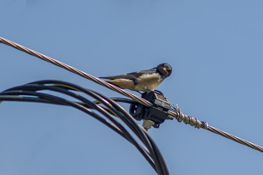 Similar image 20999234