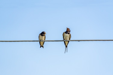 Similar image 20999236