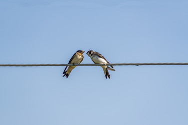 Similar image 20999237