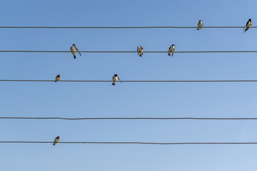 Similar image 20999239