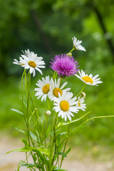 Similar image 20999251