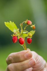 Similar image 20999252