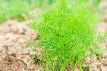 Similar image 20999255