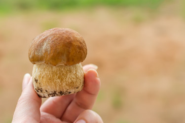 Similar image 20999402