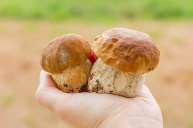 Similar image 20999403