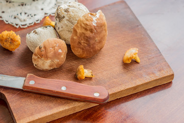 Similar image 20999404