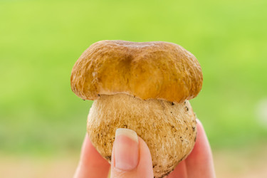 Similar image 20999407