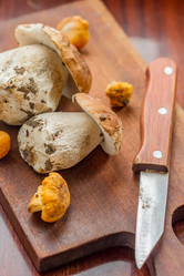 Similar image 20999410