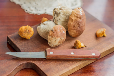 Similar image 20999411