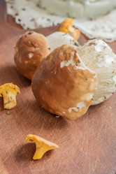 Similar image 20999412