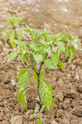 Similar image 20999416