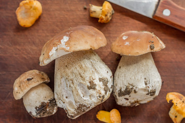 Similar image 21000674