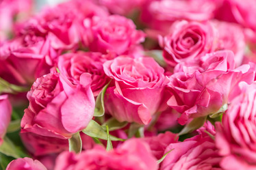 Similar image 21000677