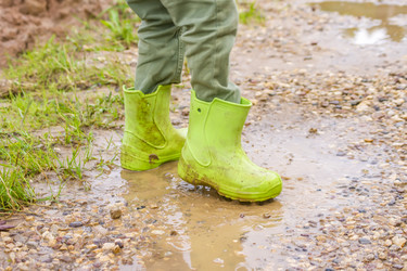 Similar image 21000681