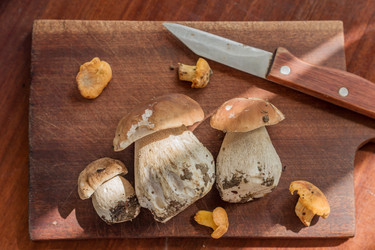 Similar image 21000683