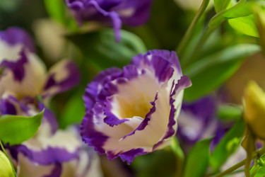 Similar image 20994044