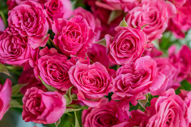 Similar image 20994045