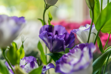 Similar image 20994046