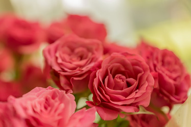 Similar image 20994051