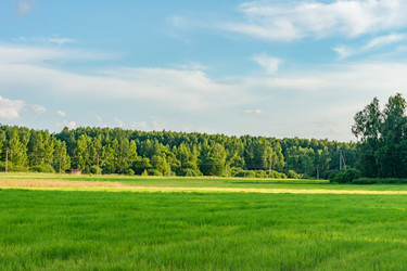 Similar image 21000691