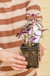 Similar image 21000695