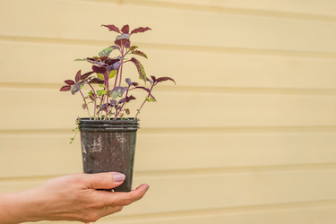 Similar image 21000768