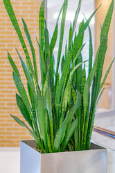 Similar image 20995477