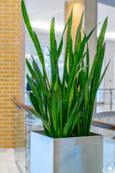 Similar image 20995478