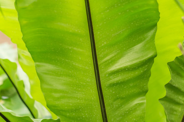 Similar image 20999267