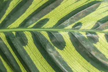 Similar image 20999275