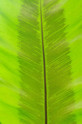 Similar image 20999276