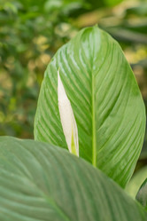 Similar image 20999277